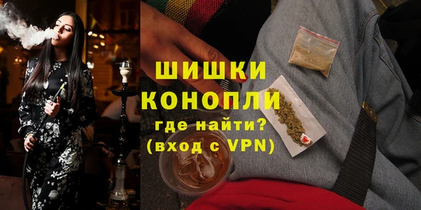 PSILOCYBIN Нязепетровск