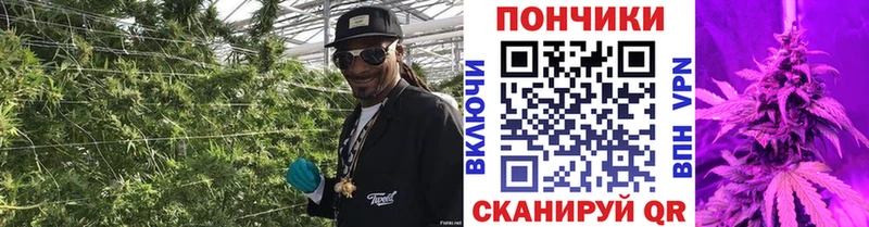 Каннабис ГИДРОПОН  блэк спрут как зайти  Сосновка  что такое наркотик 