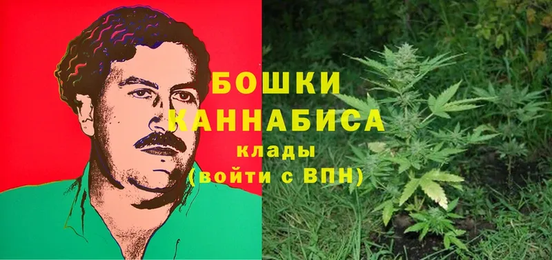 Канабис White Widow  как найти   Сосновка 